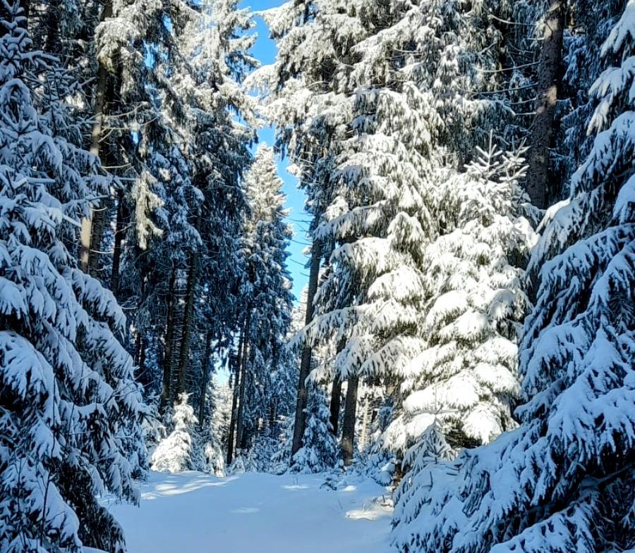 Kirchenbezirk Vogtland